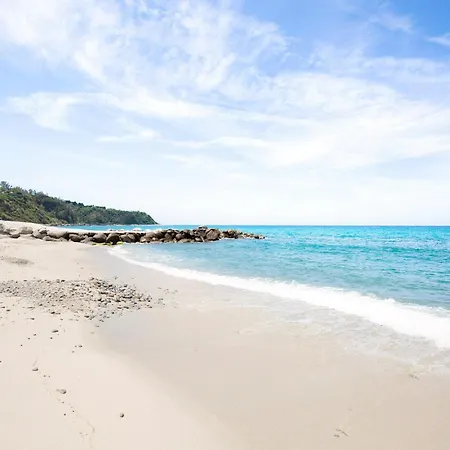 Il Papavero * Fitili